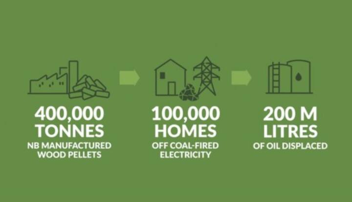 全球48%的木屑顆粒消費(fèi)來自住宅和商業(yè)建筑。從2020年到2021年，歐洲家庭生物質(zhì)消費(fèi)量增長了18%，商業(yè)應(yīng)用增長了12.5%。
