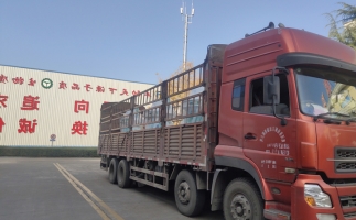 忙碌的五月，忙碌的發(fā)貨，金格瑞顆粒機(jī)生產(chǎn)線發(fā)往全國(guó)各地