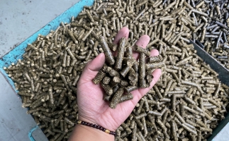 木屑顆粒機(jī)廠家告訴你生物質(zhì)顆粒燃料燃燒不充分的問題，該如何解決?