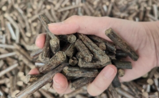 木屑燃料顆粒熱值多少大卡，完全取決于燃料的原料